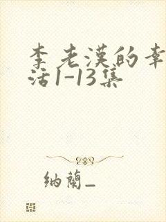 李老汉的幸福生活1-13集