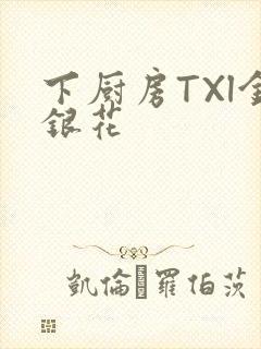 下厨房TXl金银花