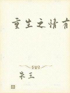 重生之情有独钟