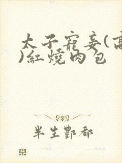 太子宠妾(高肉)红烧肉包