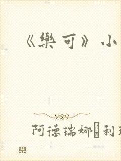 《乐可》小说封面