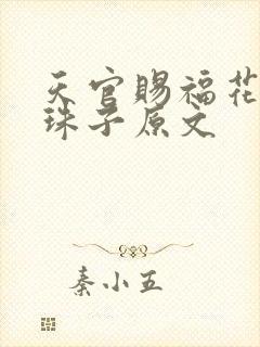 天官赐福花怜塞珠子原文