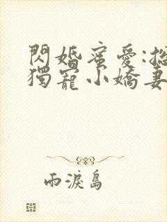 闪婚蜜爱:总裁独宠小娇妻