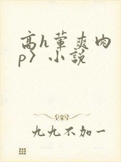 高h荤爽肉〈np〉小说