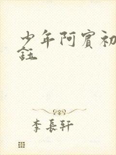 少年阿宾初识慧钰封面