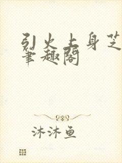 引火上身芝麻糖笔趣阁封面