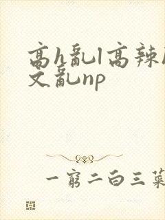 高h乱l高辣h文乱np