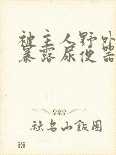 被主人野外调教暴露尿便器