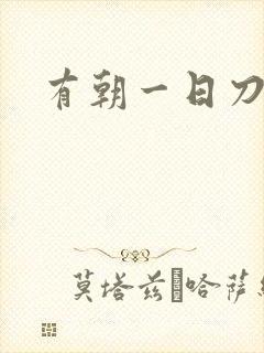 有朝一日刀在手封面