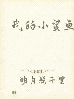 我的小鲨鱼