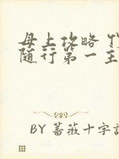 母上攻略 竹影随行第一主板封面