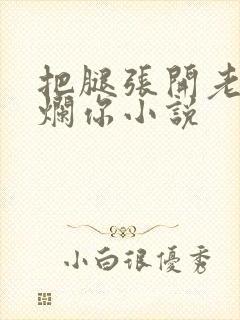 把腿张开老子臊烂你小说