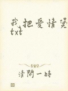 我把爱情煲成汤txt封面