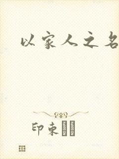 以家人之名小说