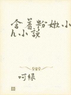 含着粉嫩小奶头h小说