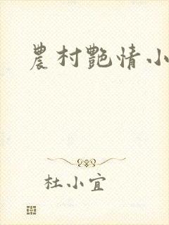 农村艳情小说封面