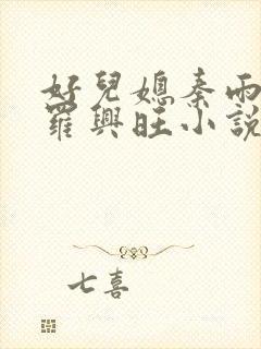 好儿媳秦雨罗明罗兴旺小说