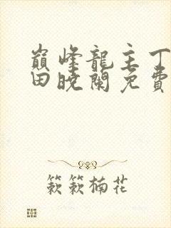 巅峰龙主丁长顺田晓兰免费阅读封面
