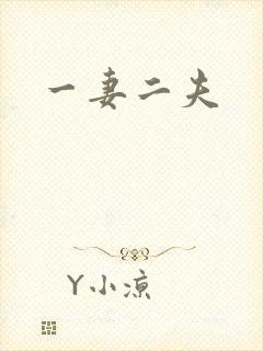 一妻二夫封面