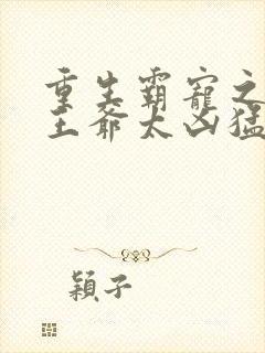 重生霸宠之摄政王爷太凶猛