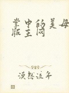 掌中的美母第一版主网封面