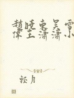 赵晓东吴雪晴郑伟王潇潇小说名字