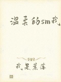 温柔的sm我