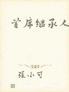 首席继承人封面