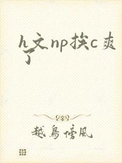 h文np挨c爽了封面