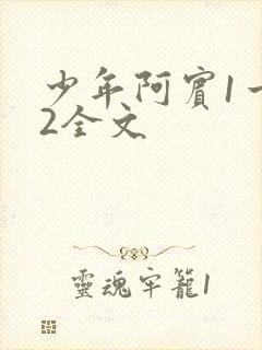 少年阿宾1一72全文
