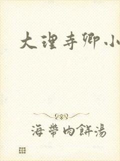 大理寺卿小说封面