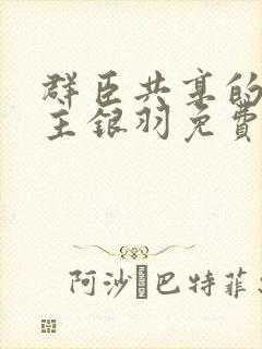 群臣共享的小公主银羽免费阅读