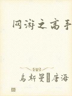 网游之高手寂寞封面