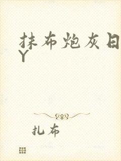 抹布炮灰日记BY封面