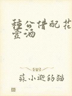 种公借配花间一壶酒封面