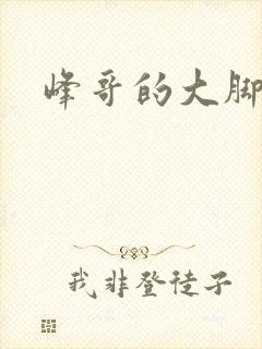 峰哥的大脚封面