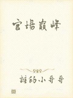 官场巅峰
