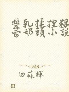 双乳揉捏啃咬蓓蕾奶头小说