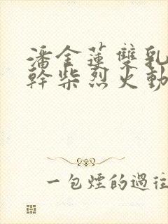 潘金莲双乳晃动干柴烈火动漫