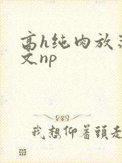 高h纯肉放荡h文np封面