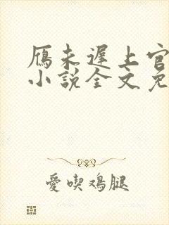 雁未迟上官穿越小说全文免费阅读