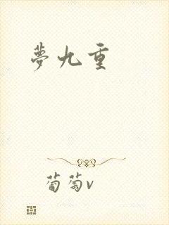 梦九重封面