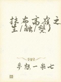 抹布高岭之花(生/触/双)封面