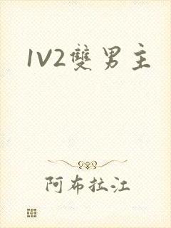 1V2双男主