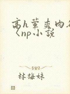 高h荤爽肉欲文〈np小说