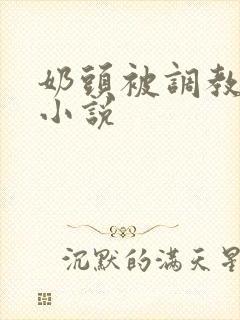 奶头被调教大的小说