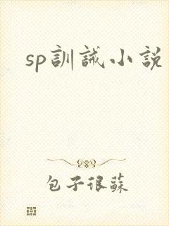 sp训诫小说