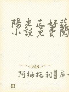 阳光正好苏玥玥小说免费阅读无弹窗