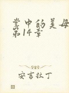 掌中的美母版主第14章