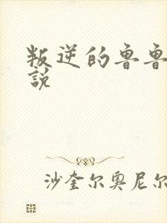 叛逆的鲁鲁修小说